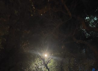 Lecce, via Adua insicura e impraticabile di sera. Marciapiedi impercorribili e buio pesto. Domanda di attualità di Pasquino: “Il sindaco intervenga subito”