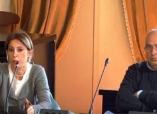 Alberi pericolanti a San Lazzaro, via 67 pini: al loro posto 130 alberature. Guido: “Sono fuscelli”. Valli: “Intervento inevitabile anche per altre zone”