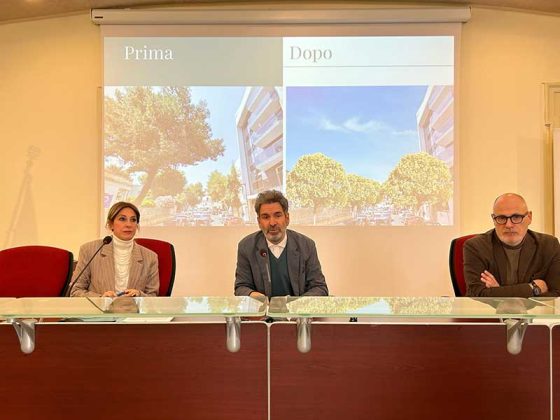 Piano di messa in sicurezza delle alberature a San Lazzaro e al Campo Montefusco - Corriere Salentino