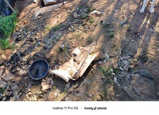 Cani ridotti alla fame e altri morti tra escrementi e sporcizia: tutta l’area sequestrata