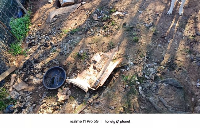 Cani ridotti alla fame e altri morti tra escrementi e sporcizia: tutta l’area sequestrata - Corriere Salentino