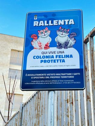 Colonie feline: installati i cartelli e consegnate le pettorine alle tutor - Corriere Salentino