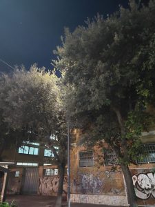 Lecce, via Adua insicura e impraticabile di sera. Marciapiedi impercorribili e buio pesto. Domanda di attualità di Pasquino: “Il sindaco intervenga subito” - Corriere Salentino