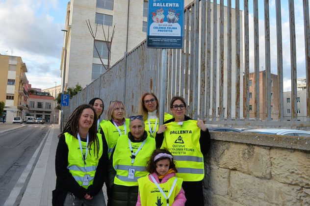 Colonie feline: installati i cartelli e consegnate le pettorine alle tutor - Corriere Salentino