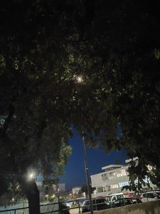 Andrea Pasquino: "Gravi problematiche di sicurezza e di decoro urbano in Via Adua. Il Sindaco intervenga immediatamente" - Corriere Salentino