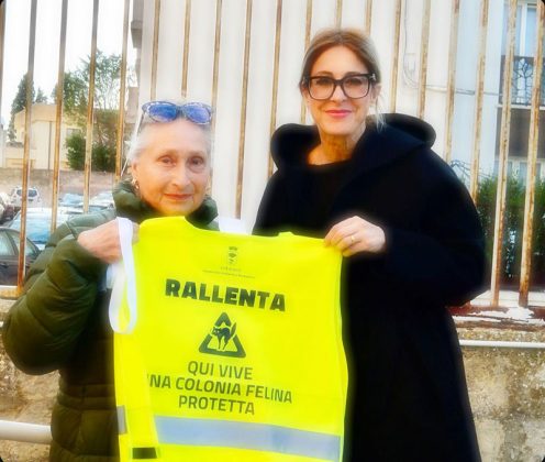Colonie feline: installati i cartelli e consegnate le pettorine alle tutor - Corriere Salentino