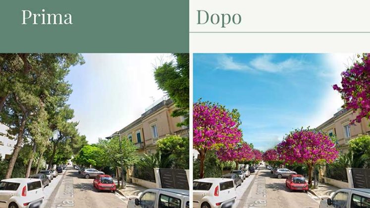 Piano di messa in sicurezza delle alberature a San Lazzaro e al Campo Montefusco - Corriere Salentino