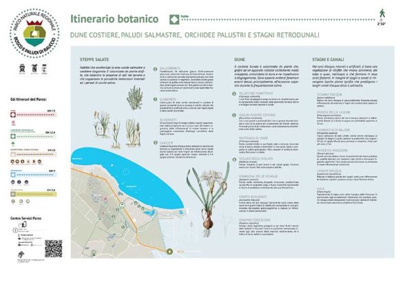 Segnaletica, accessibilità e isole ecologiche, in arrivo nuove dotazioni per Rauccio - Corriere Salentino