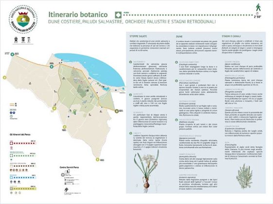 Segnaletica, accessibilità e isole ecologiche, in arrivo nuove dotazioni per Rauccio - Corriere Salentino