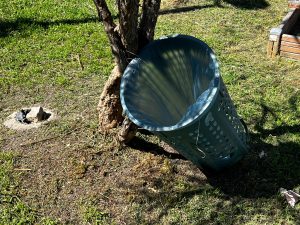 “Degrado e abbandono: non basta ‘lu Riu’ per il parco Belloluogo”. Aria, lista per Siculella, chiede un cambio di passo - Corriere Salentino