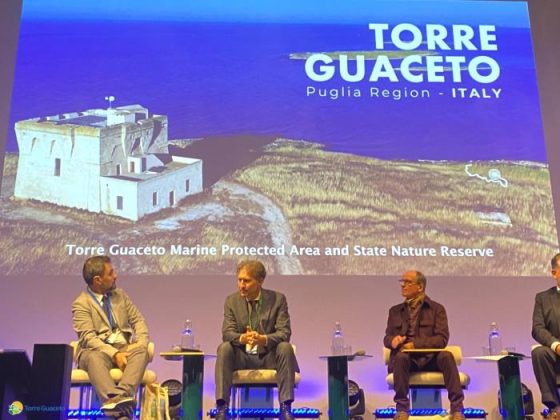 Torre Guaceto vince il premio europeo MPA Awards "per gli eccezionali risultati ottenuti nella tutela del mare" - Corriere Salentino