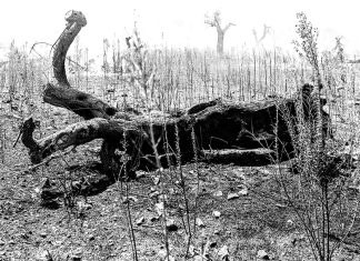 Giovedì 7 al Museo Castromediano di Lecce l’inaugurazione della mostra “Loro. Dalla Fotografia al Progetto di Comunità” di Ulderico Tramacere
