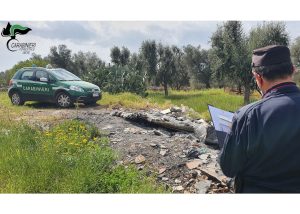 Trasforma un terreno in una discarica abusiva: scattano denuncia e sequestro dell’area - Corriere Salentino