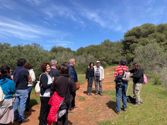 A Portoselvaggio scoperta una nuova orchidea ibrida - Corriere Salentino