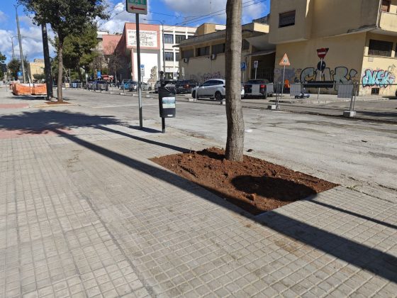 Viale Marche la giunta approva la variante, oggi visita del sindaco al cantiere - Corriere Salentino