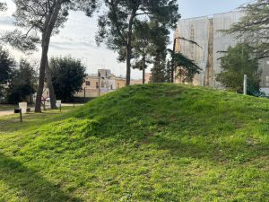 "Parco Galateo inaccessibile per i più fragili: marciapiedi rotti, illuminazione precaria e impianto di irrigazione non funzionante" - Corriere Salentino