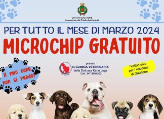Per tutto il mese di marzo Microchip gratuito