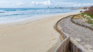 Rubate le palizzate a tutela delle spiagge e del cordone dunale di Porto Cesareo - Corriere Salentino