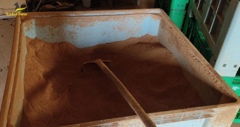 Comprate all’estero e poi “sporcate” con terra rossa per farle sembrare locali: sequestrate 33 tonnellate di patate - Corriere Salentino