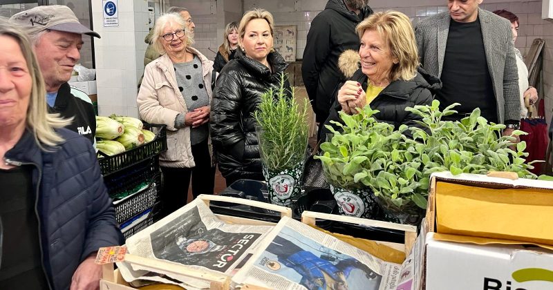 La rinascita del Mercato di Porta Rudiae e del centro storico, Poli Bortone: “Sbagliata la pista ciclabile che cancella parcheggi. Movida diffusa per il rilancio” - Corriere Salentino