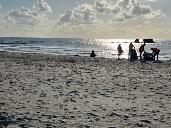 Partita la pulizia primaverile di tutte le spiagge libere comunali - Corriere Salentino
