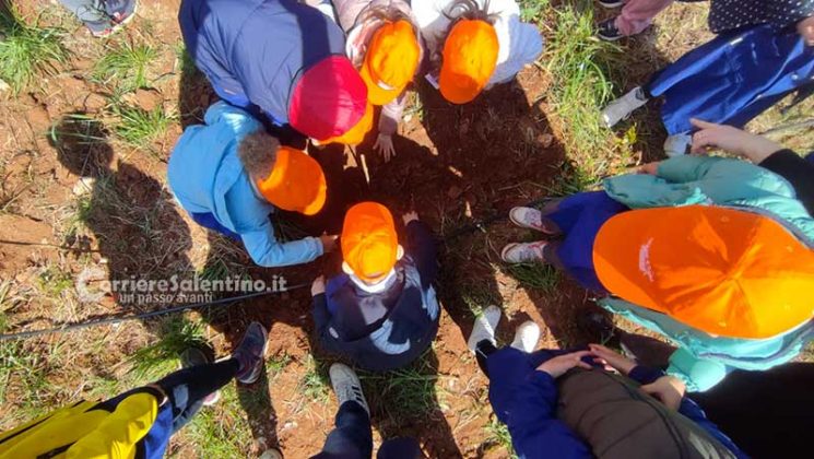 Fondazione Sylva: oltre 5000 piante per il recupero delle zone colpite da Xylella - Corriere Salentino