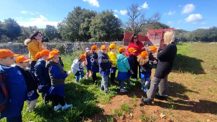 Fondazione Sylva: oltre 5000 piante per il recupero delle zone colpite da Xylella - Corriere Salentino