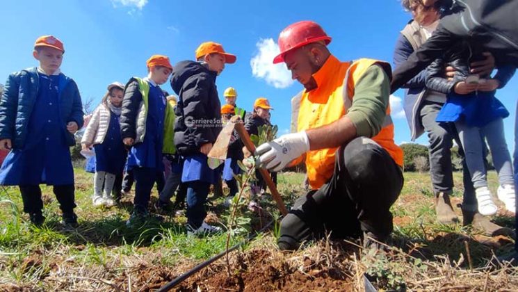 Fondazione Sylva: oltre 5000 piante per il recupero delle zone colpite da Xylella - Corriere Salentino