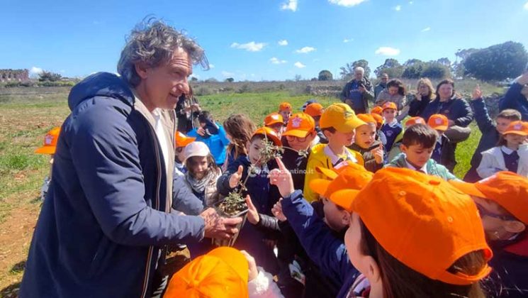 Fondazione Sylva: oltre 5000 piante per il recupero delle zone colpite da Xylella - Corriere Salentino