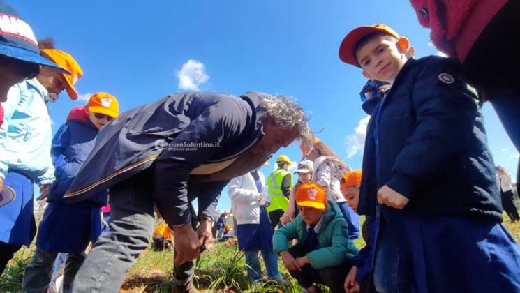 Fondazione Sylva: oltre 5000 piante per il recupero delle zone colpite da Xylella - Corriere Salentino