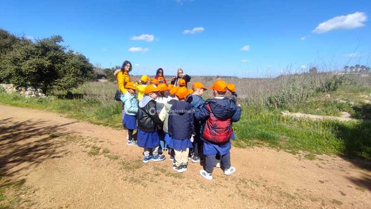 Fondazione Sylva: oltre 5000 piante per il recupero delle zone colpite da Xylella - Corriere Salentino