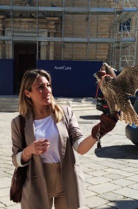 A Novoli parte il servizio falconeria per allontanare i volatili in maniera naturale - Corriere Salentino