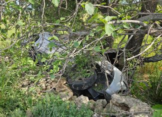 Fuori strada con l’auto sulla provinciale: conducente trasportato in ospedale