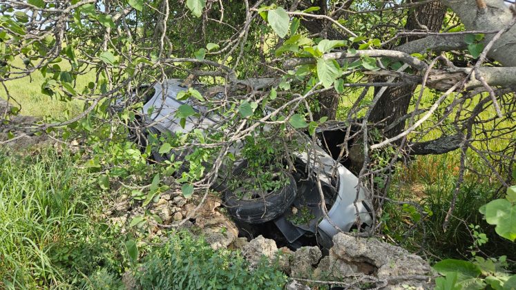 Fuori strada con l'auto sulla provinciale: conducente trasportato in ospedale - Corriere Salentino