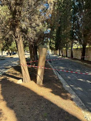 Poli Bortone: “Cimitero monumentale, quale giardino della memoria? È un deserto dell'oblio” - Corriere Salentino