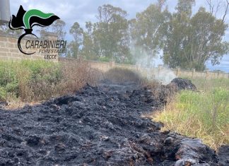 Seguono la colonna di fumo e scoprono incendio in discarica a cielo aperto: denunciato il proprietario del terreno