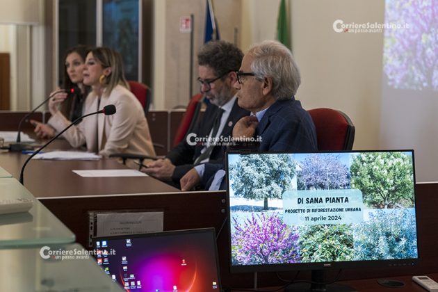 Di sana pianta 2024: 152 nuovi alberi in città per riempire le piccole aiuole rimaste vuote - Corriere Salentino