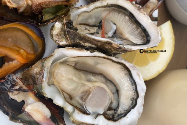 Nei mari del Salento: i frutti di mare - Corriere Salentino
