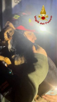 Paura in provincia: divampa incendio in casa, messi in salvo proprietario e cagnolino - Corriere Salentino