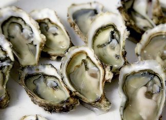 Capodanno, gli agrumi sono al top, ok ostriche e vongole lupino