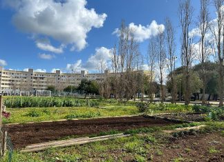 Approvato il Regolamento sui beni comuni: amministrazione e cittadini insieme per la cura di spazi ed edifici pubblici