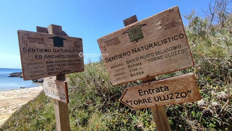 Alla Scoperta del Salento: Porto Selvaggio, un angolo di paradiso strappato alla mafia - Corriere Salentino