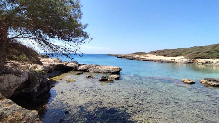 Alla Scoperta del Salento: Porto Selvaggio, un angolo di paradiso strappato alla mafia - Corriere Salentino