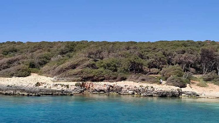 Alla Scoperta del Salento: Porto Selvaggio, un angolo di paradiso strappato alla mafia - Corriere Salentino