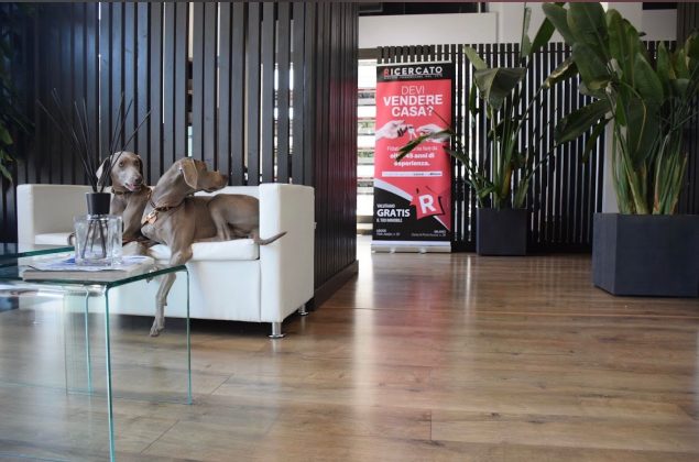 Piazza Mazzini: prezzi pazzi per le nuove case e mercato immobiliare in crescita. Perché? La parola a Stefano Ricercato - Corriere Salentino