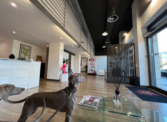 Piazza Mazzini: prezzi pazzi per le nuove case e mercato immobiliare in crescita. Perché? La parola a Stefano Ricercato - Corriere Salentino