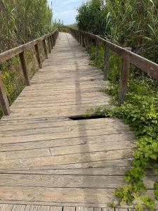Scorrano: “Accessibilità rischiosa ai tempi di Salvemini”. Le passerelle poco praticabili per i disabili - Corriere Salentino