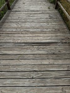 Scorrano: “Accessibilità rischiosa ai tempi di Salvemini”. Le passerelle poco praticabili per i disabili - Corriere Salentino