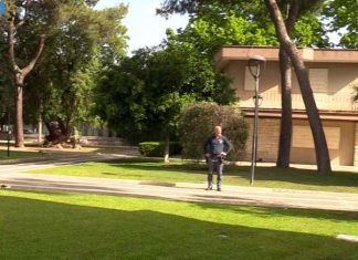 Sicurezza in villa, sequestrati due pitbull a senzatetto