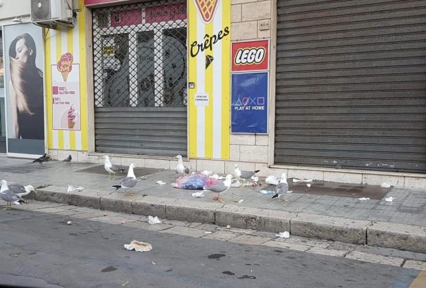 Controlli sulla differenziata a Gallipoli, ieri mattina Polizia Locale e operatori ecologici insieme per segnalare l'errato conferimento - Corriere Salentino